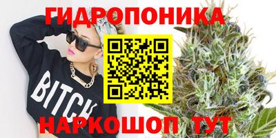 МДПВ Коломна