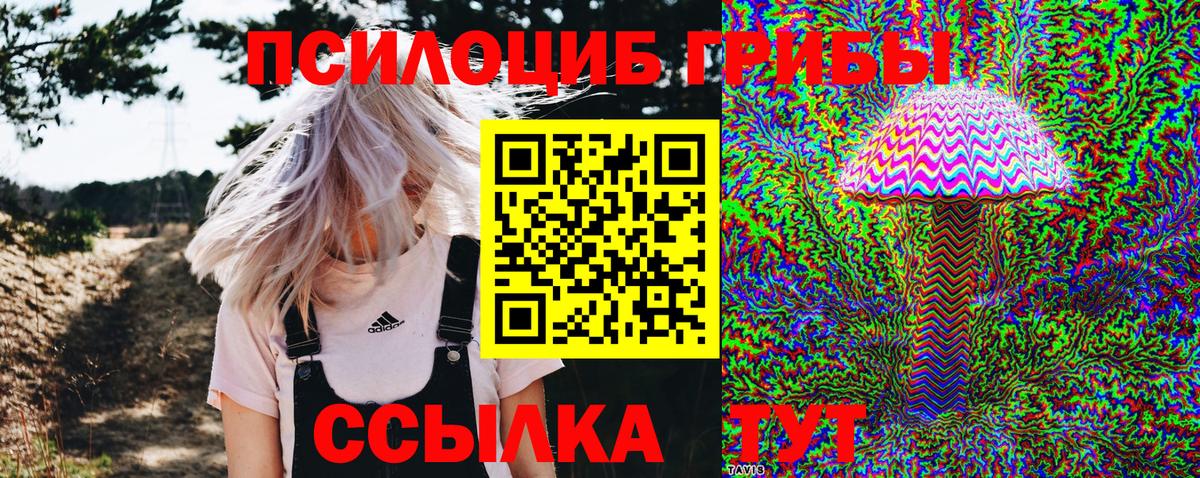 Псилоцибиновые грибы Psilocybe Белая Калитва